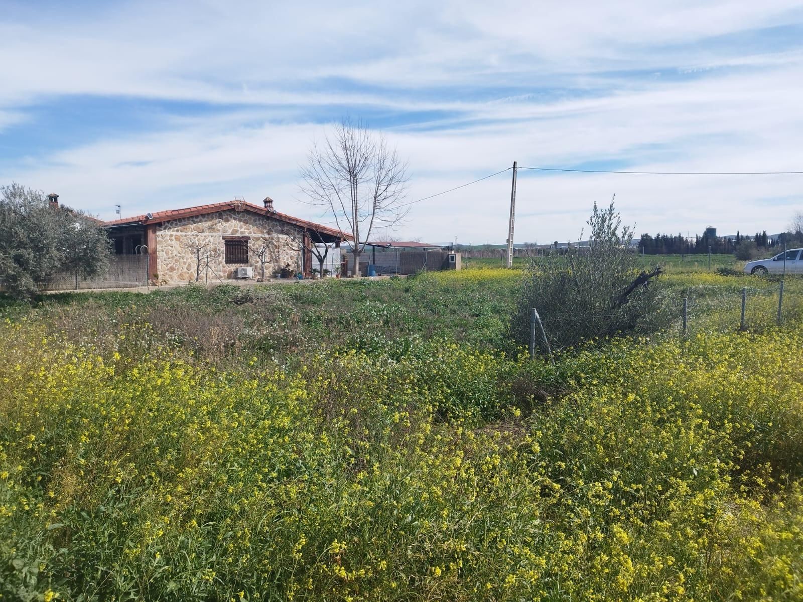 Land for sale in El Carpio