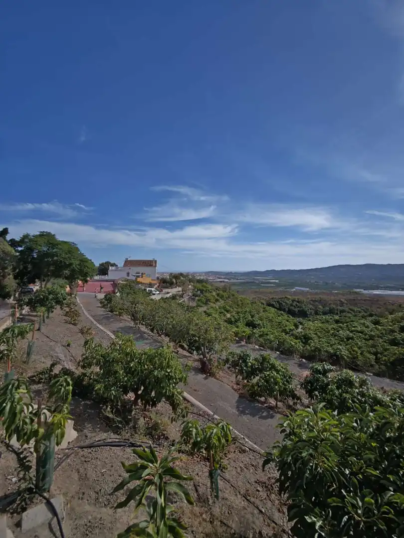 Country homes for sale in N/A, Norte - Barrio del Pilar - El Reñidero