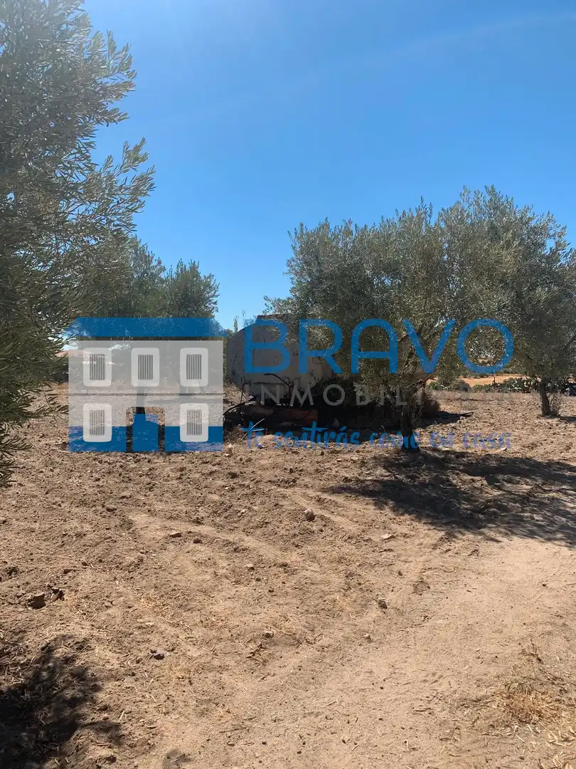 Chalet en venta en La Haba, imagen 24