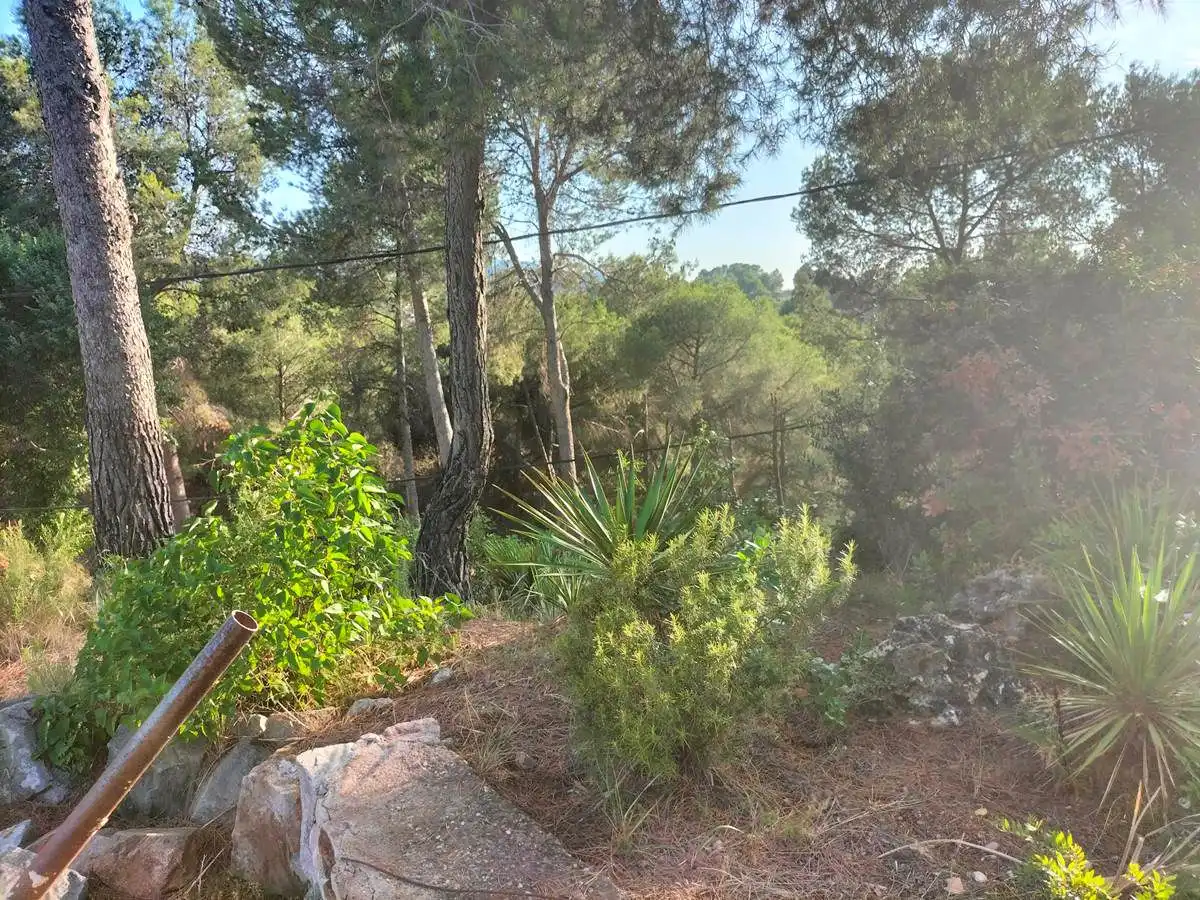 Terrenos y solares en venta en Castellbisbal, imagen 5
