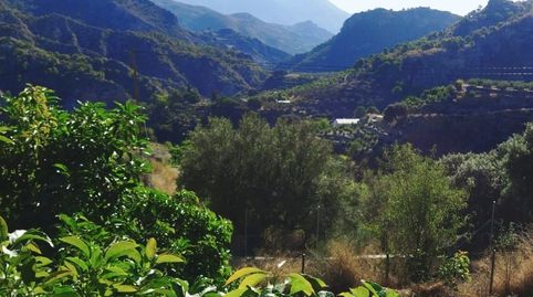 Foto 4 de Finca rústica en venta en Motril ciudad, Motril