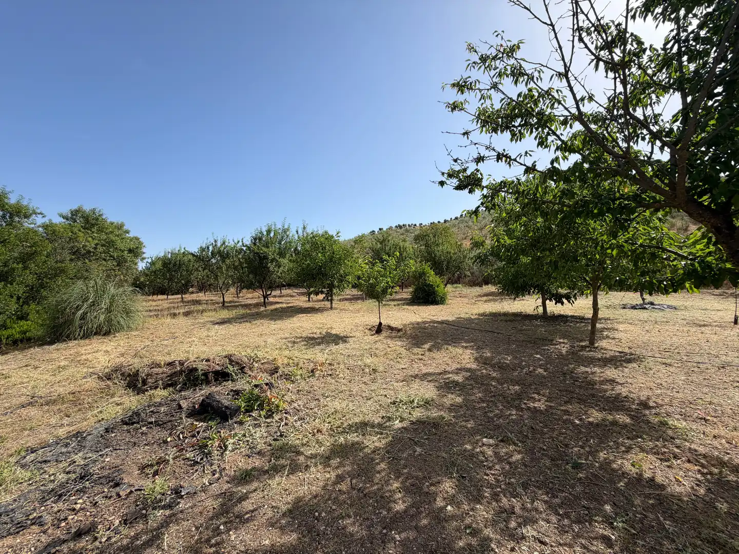 Finca rústica en venta en Iznájar con Jardín privado y Terraza