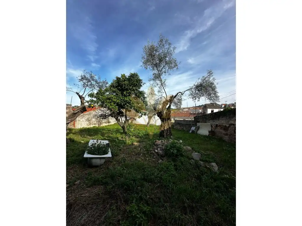 Terreni e lotti in vendita a Casco Antiguo, imagen 2