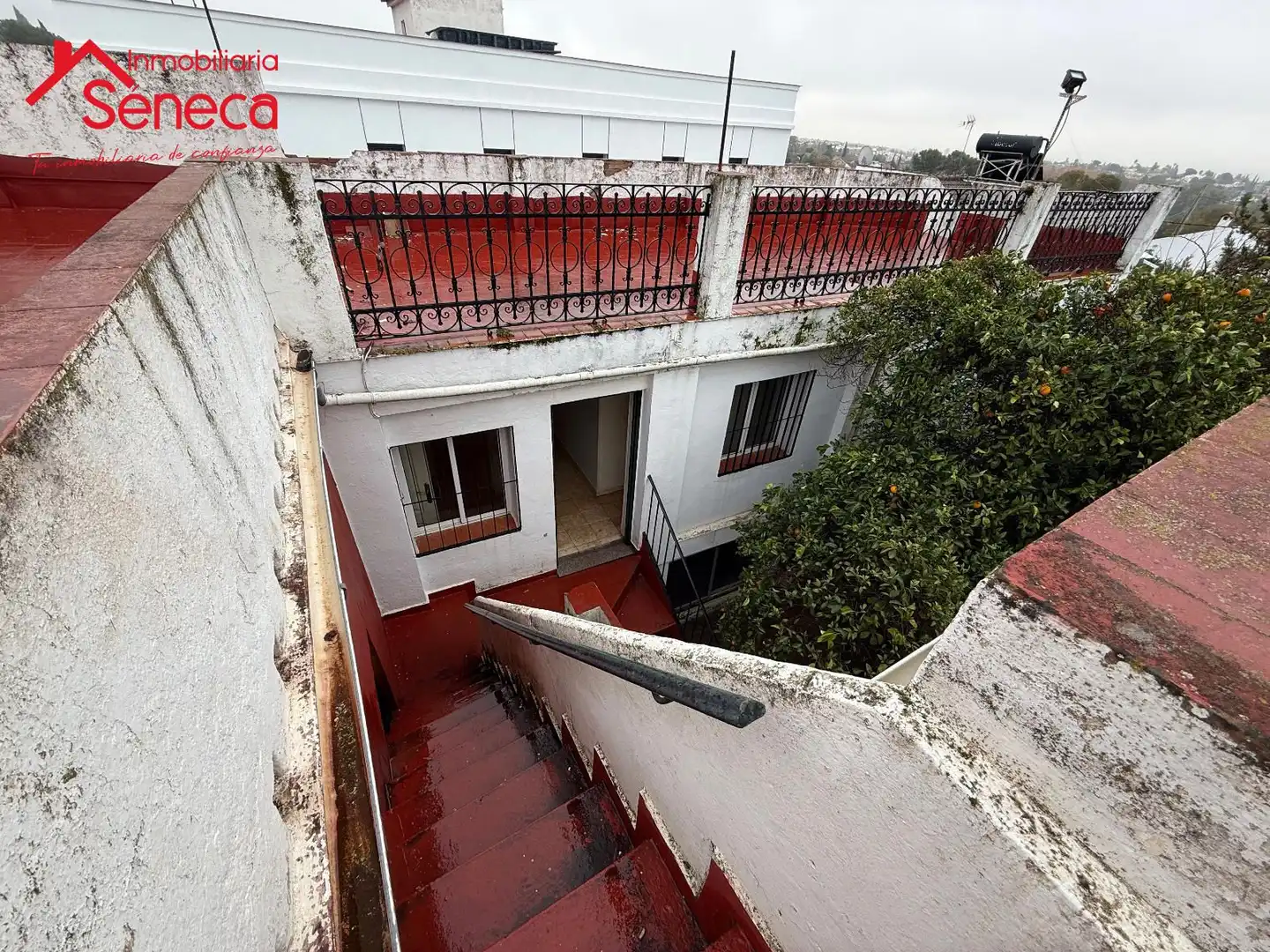 Exterior view of Houses for sale in Córdoba  with Swimming Pool