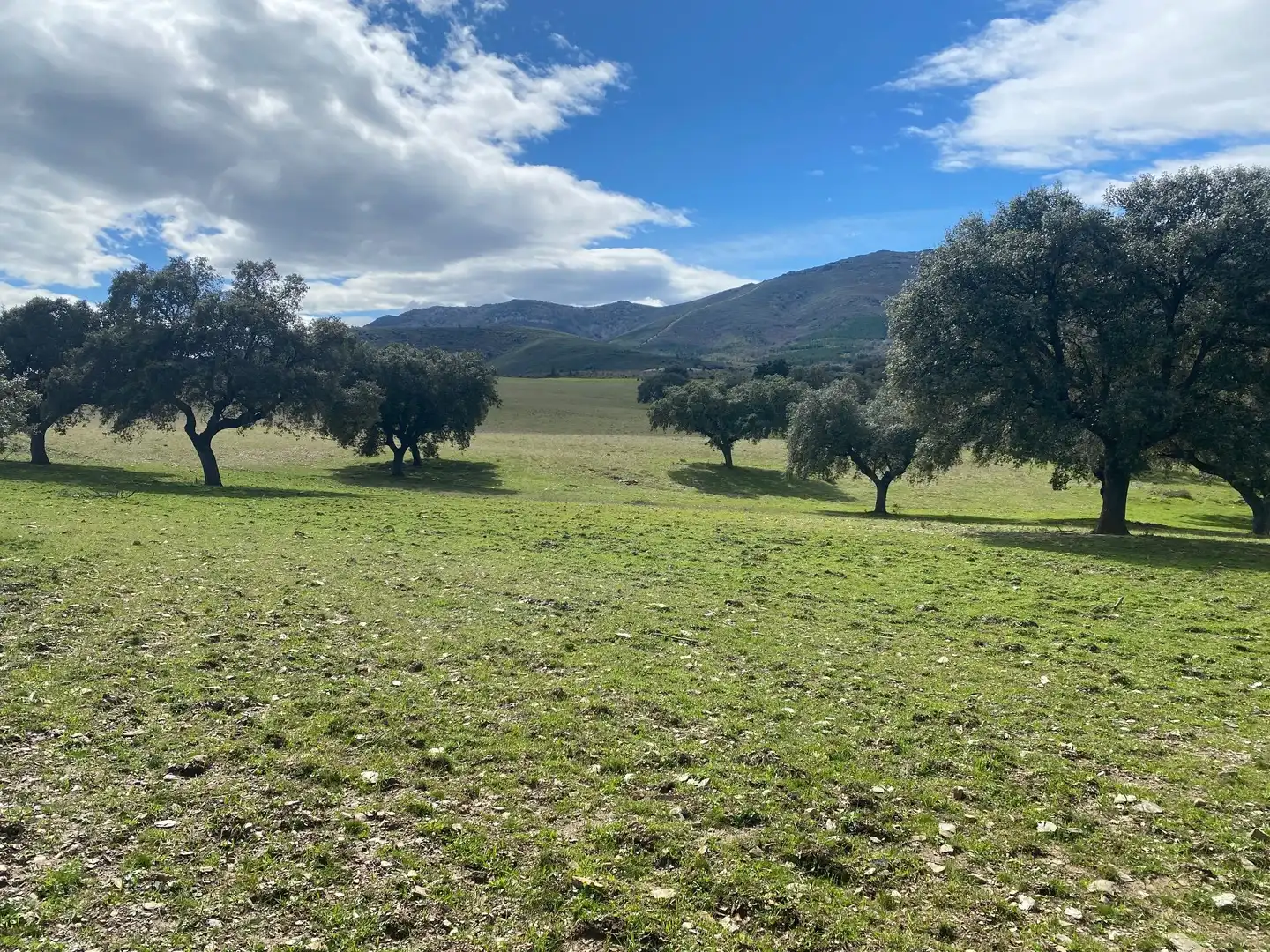 Vista exterior de Terreny en venda en Mohedas de la Jara