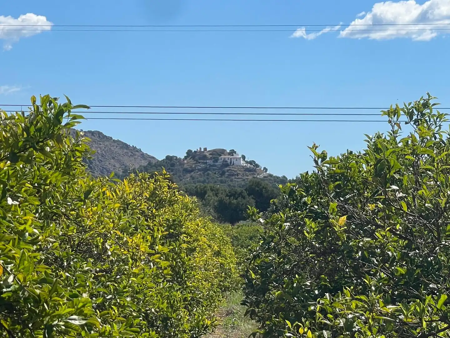 Außenansicht von Grundstücke zum Verkauf in Castellón de la Plana / Castelló de la Plana