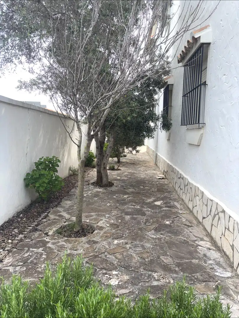 Jardí de Finca rústica en venda en Barbate amb Jardí privat, Terrassa i Traster