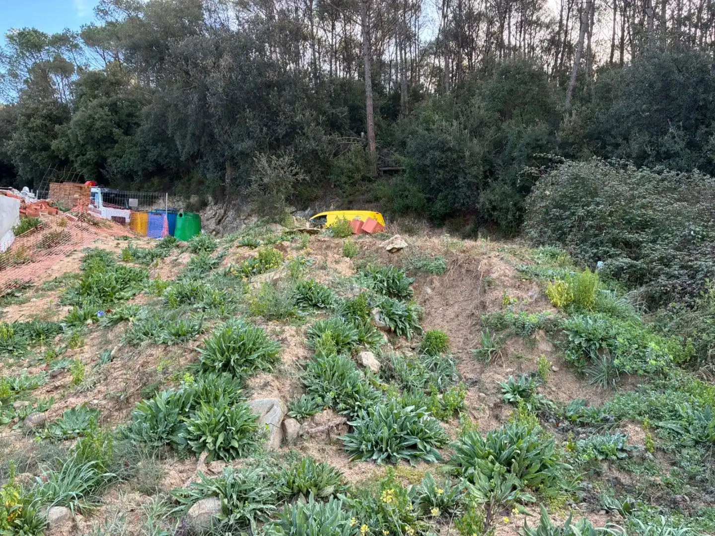 Terreno residencial en venta en Carrer de Francesc Macià 5, imagen 7