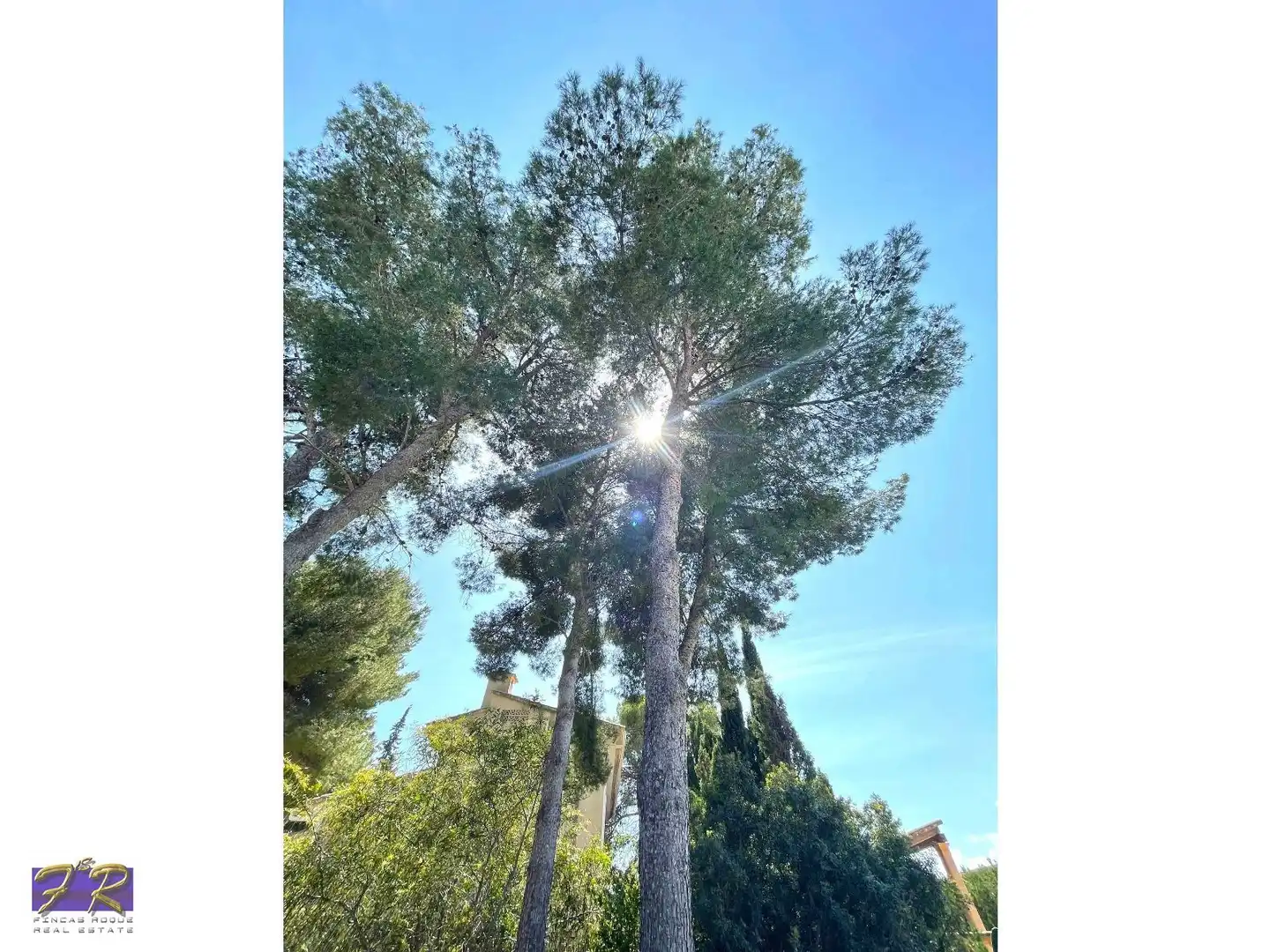 Vista exterior de Casa o xalet en venda en Alcúdia amb Calefacció, Terrassa i Forn