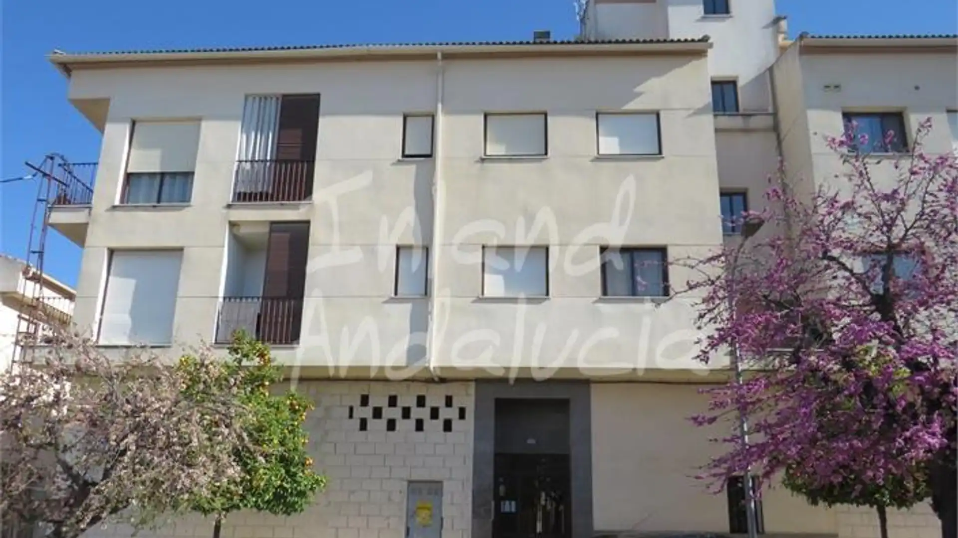 Vista exterior de Apartamento en venta en Alcaudete