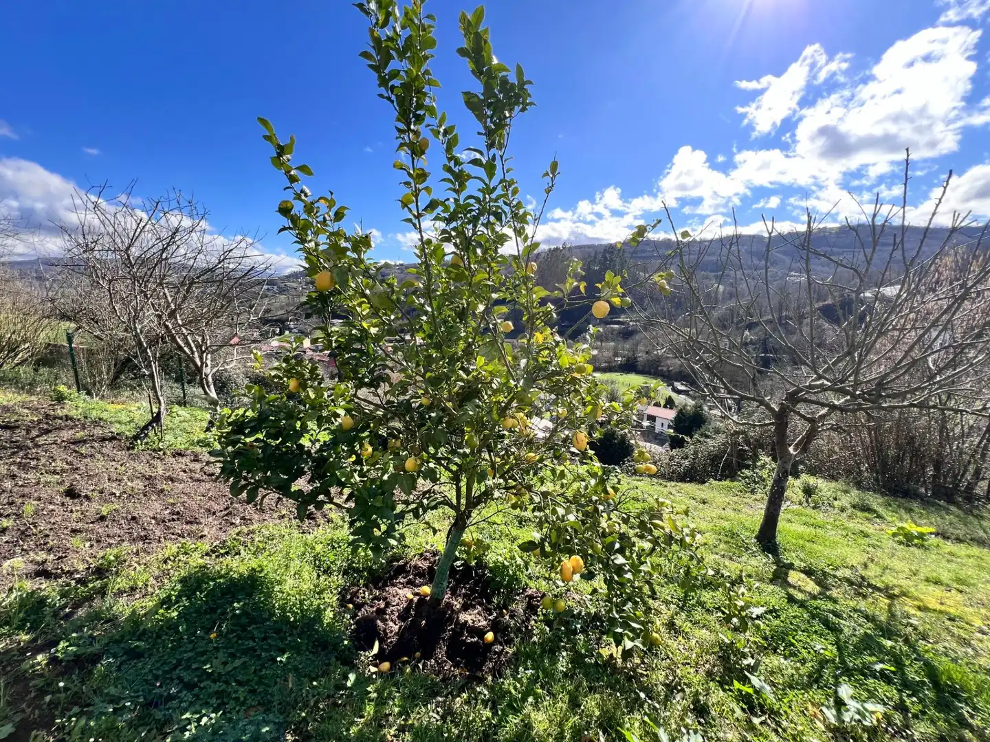 Exterior view of Houses for sale in Langreo  with Heating, Private garden and Furnished