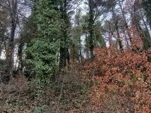Residential land for sale in Carrer Fontanelles 374, imagen 5