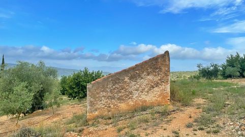 Finca Rúst. en venta en Freginals., imagen 3