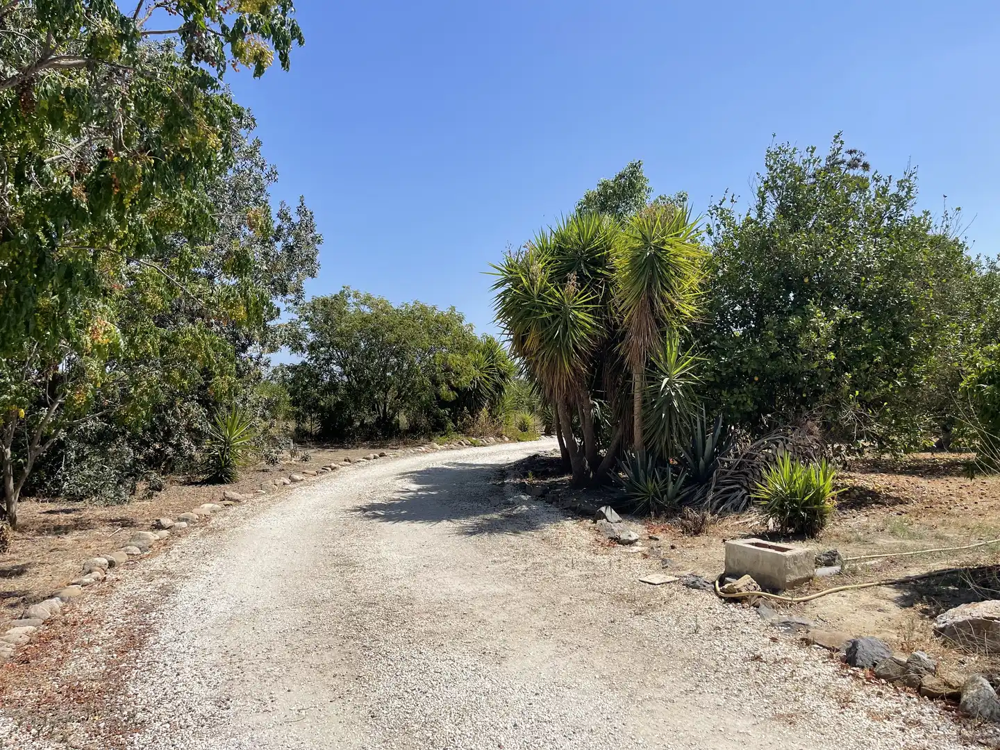 Finca rústica en venda a Diseminado Poligono 27, 78, Casalpalma - Fahala
