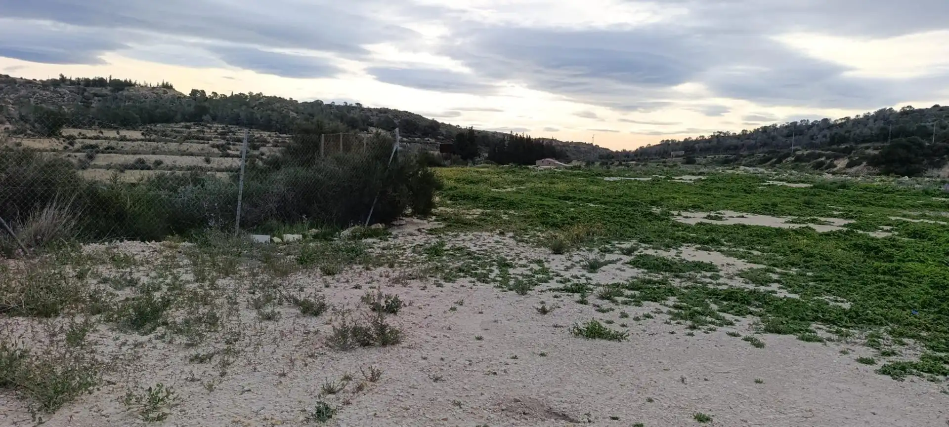 Land for sale in Aspe