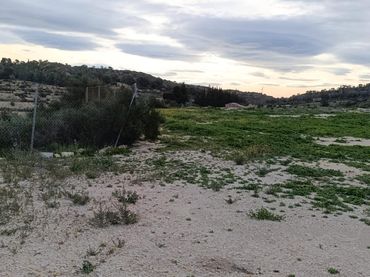 Terreno rustico in vendita a Pedanías Oeste