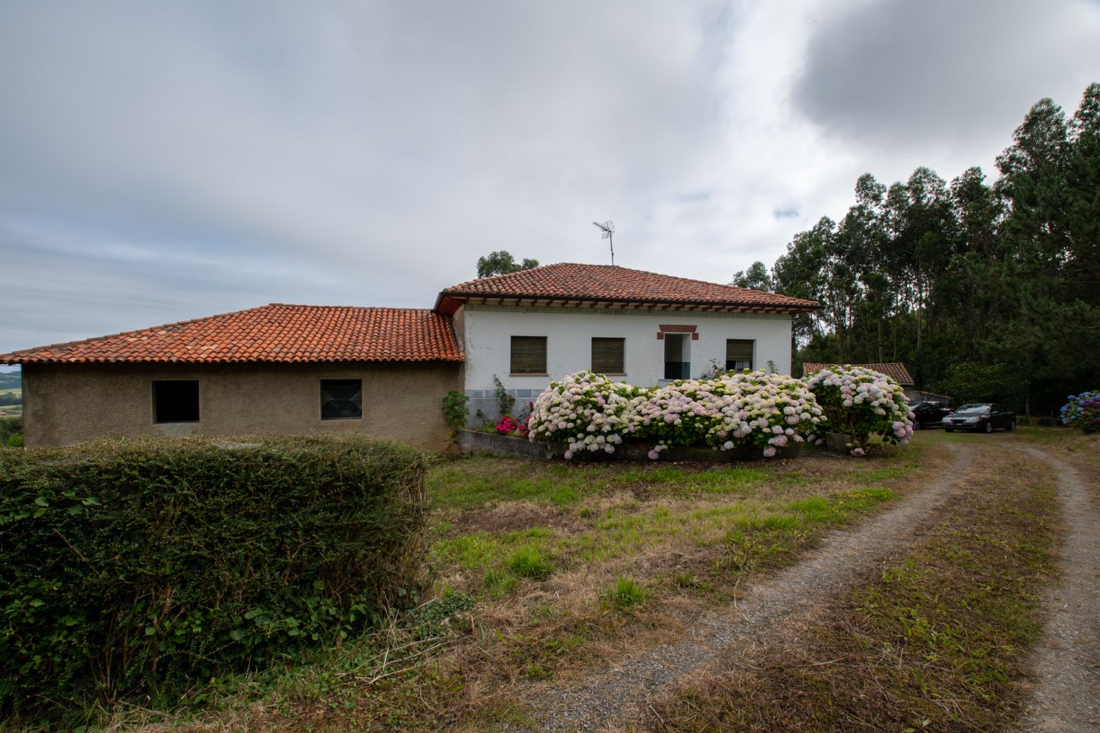 Vista exterior de Casa o xalet en venda en Villaviciosa amb Jardí privat