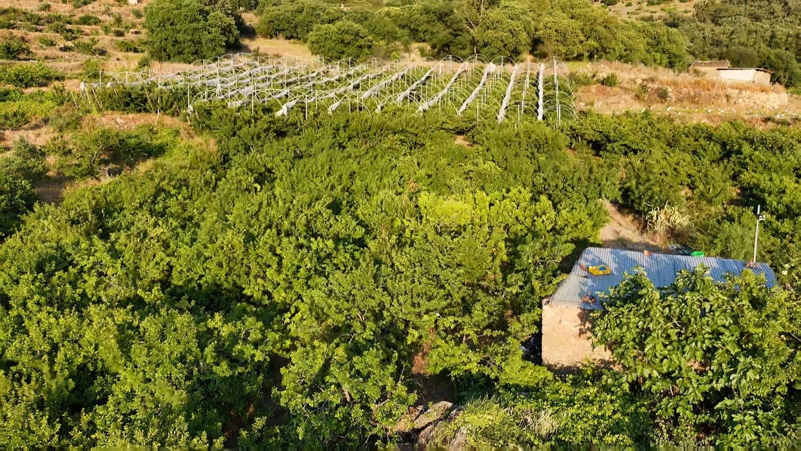 Garden of Land for sale in Casas del Castañar