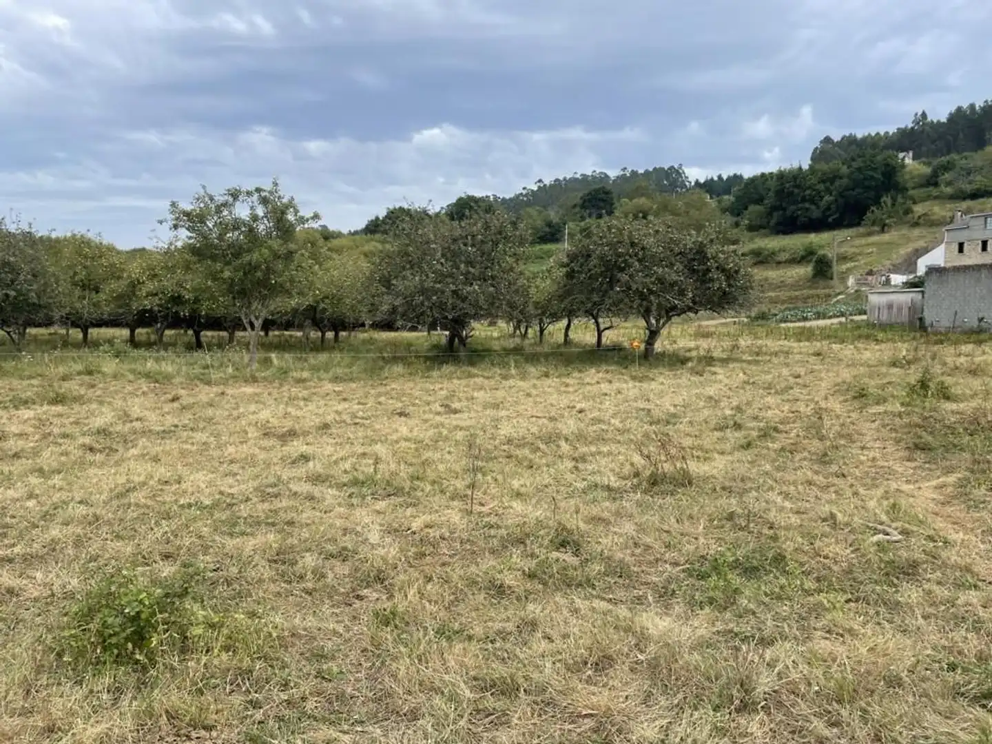 Finca rústica en venta en Ortigueira con Jardín privado