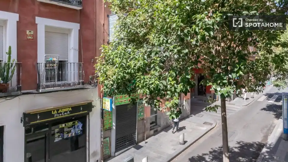 Piso con terraza en alquiler en Centro, imagen 8