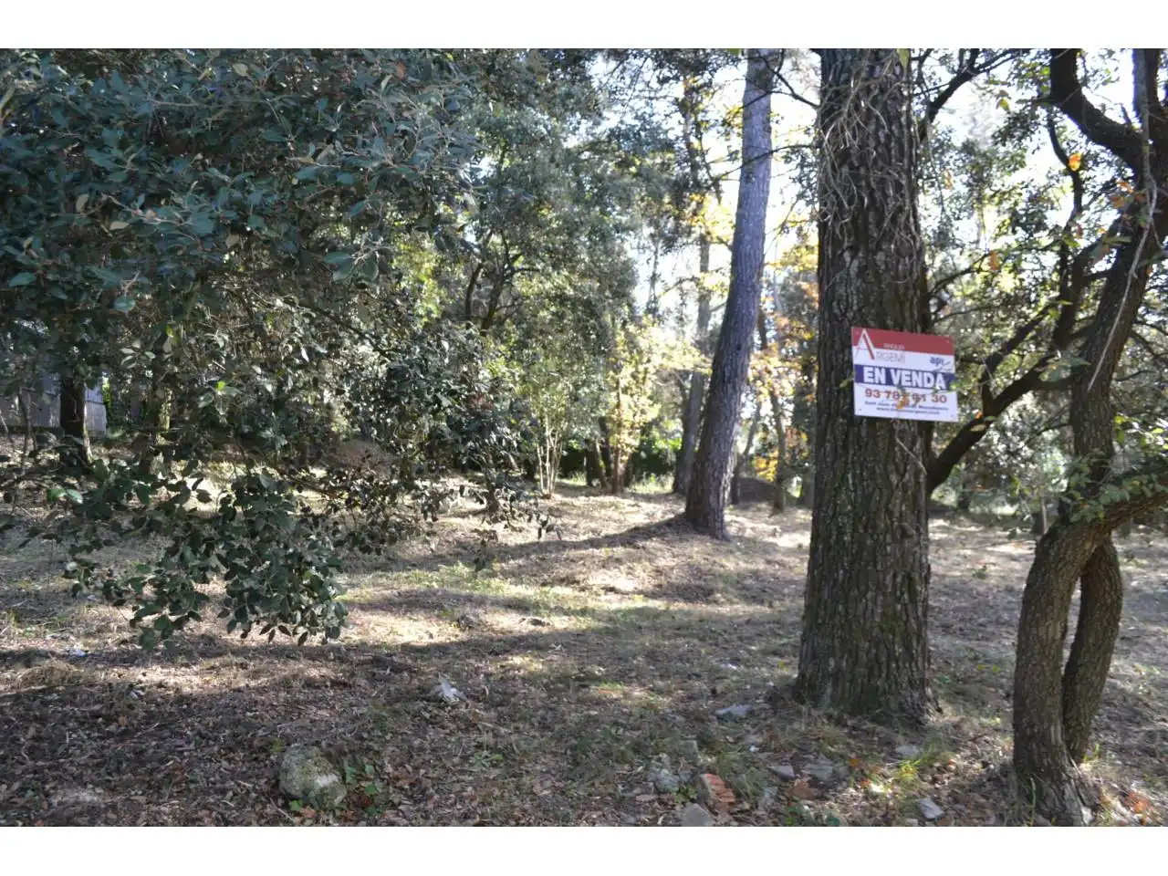 Terrain résidentiel à vendre à Calle Cavall Bernat, imagen 4