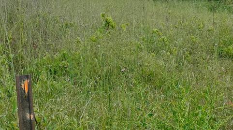 Photo 2 of Land for sale in Cortes - Huertas,  Madrid Capital