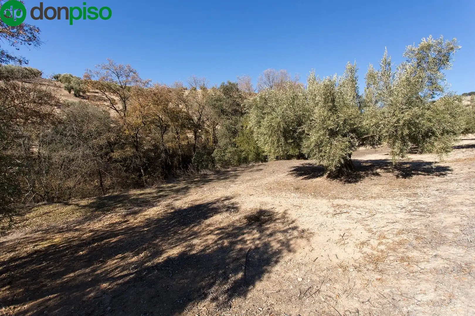 Terreny rústic en venda a Poligono 2 parcela 276 y 409, imagen 10