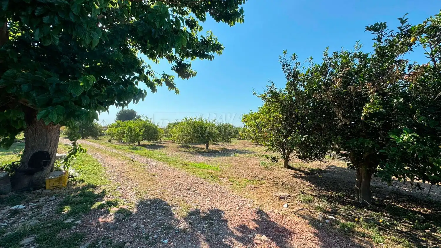 Finca rústica en venda en Redován