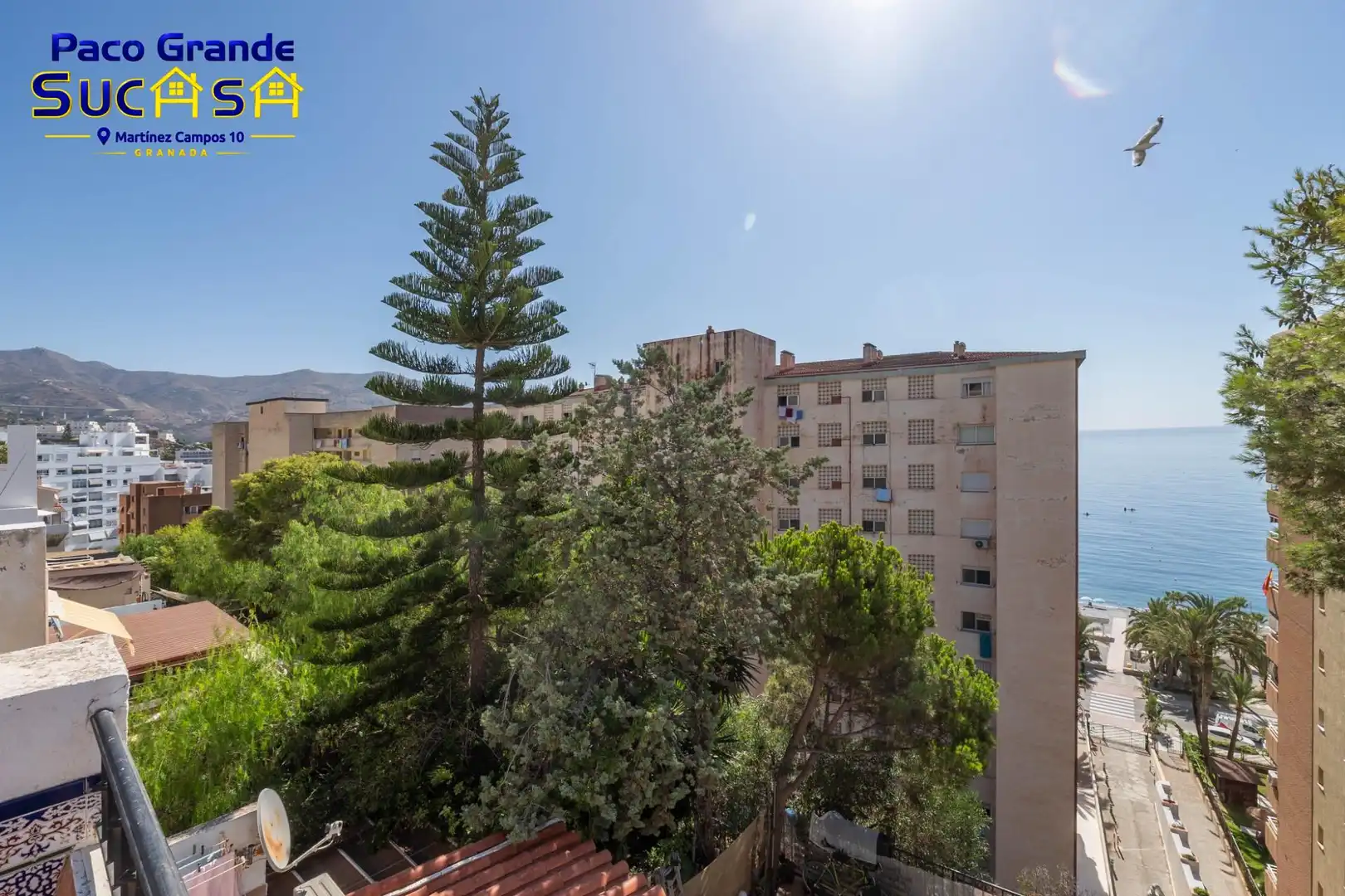 Villa avec terrasse à vendre à Paseo Paseo Velilla 3