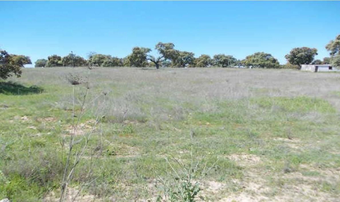 Residential for sale in Casar de Cáceres