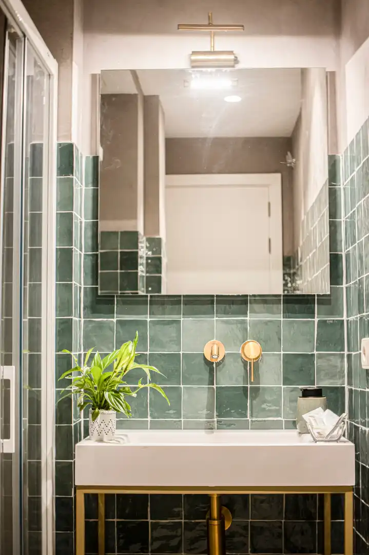 Bany de Apartament de lloguer en Ciutat Vella 