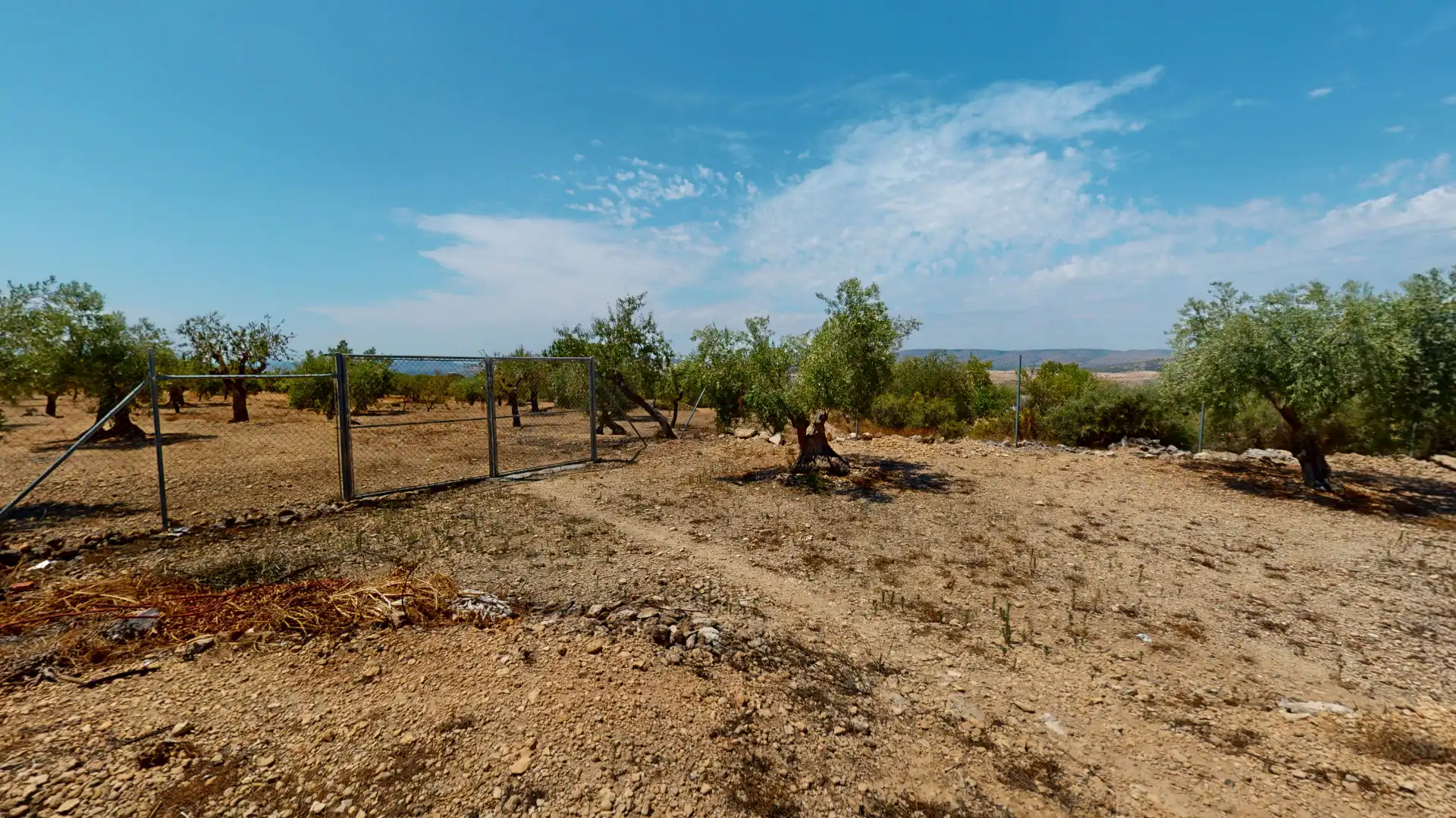 Casa o xalet en venda en Biar amb Aire condicionat, Jardí privat i Piscina