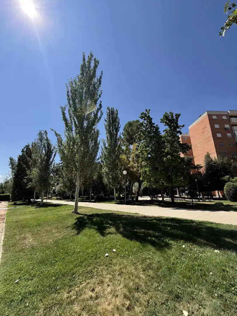 Vista exterior de Pis en venda en  Madrid Capital amb Aire condicionat i Piscina