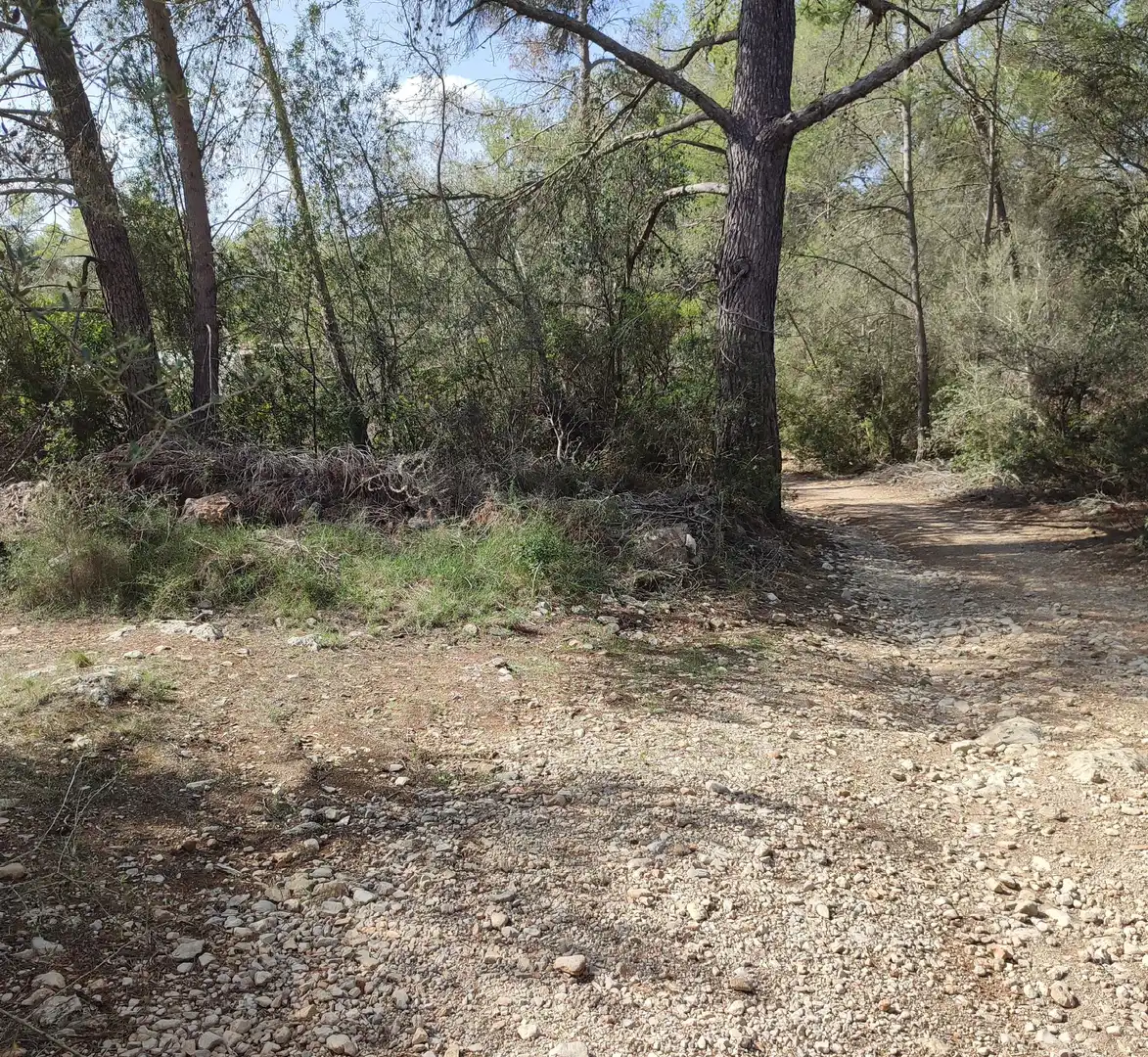 Rural land for sale in Sant Joan, imagen 3