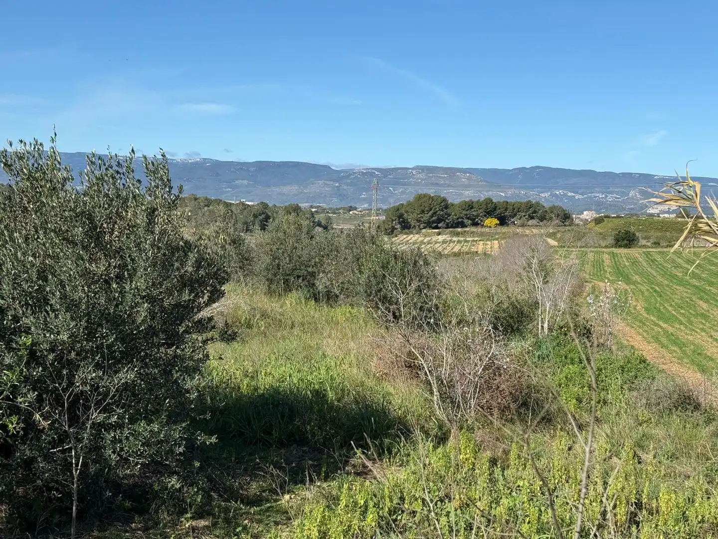 Finca rústica en venda a Puigpelat