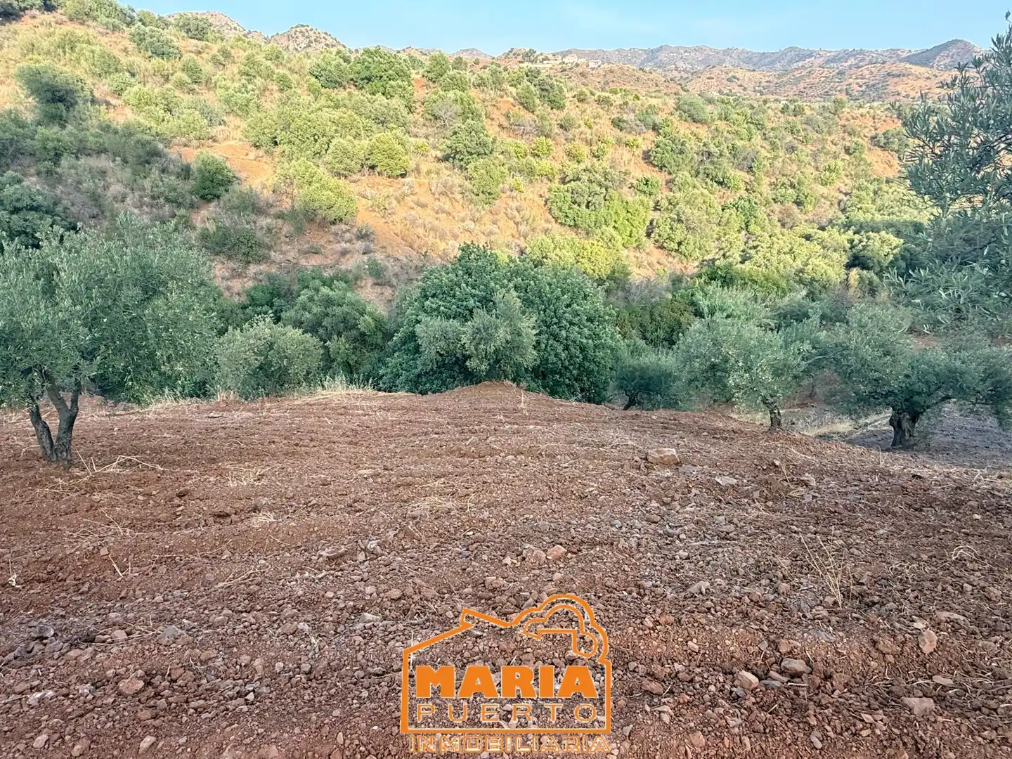 Terreno rustico in vendita a Almogía, imagen 9