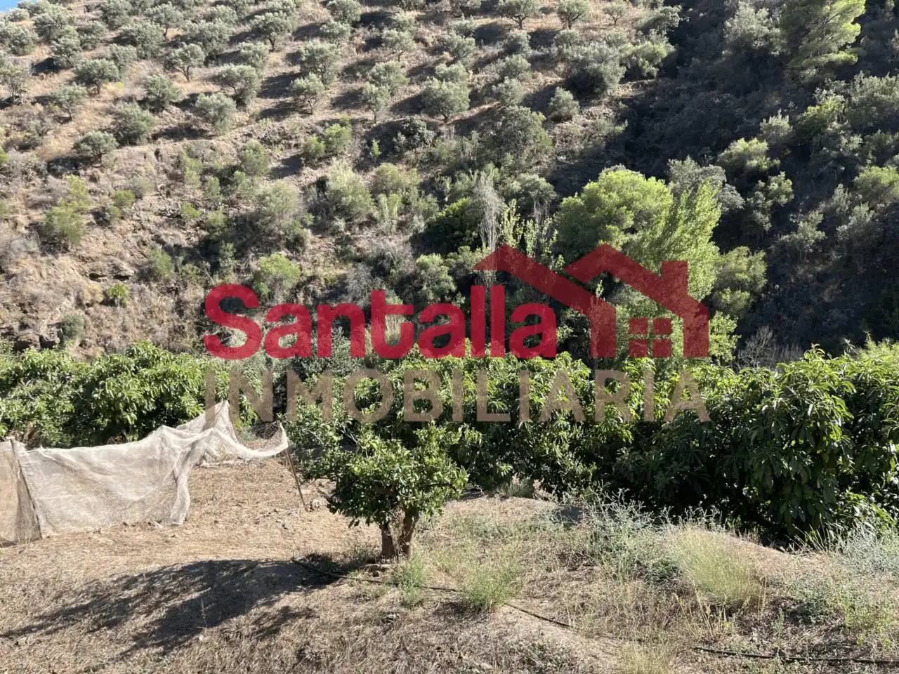 Country homes for sale in Almuñécar  with Private garden