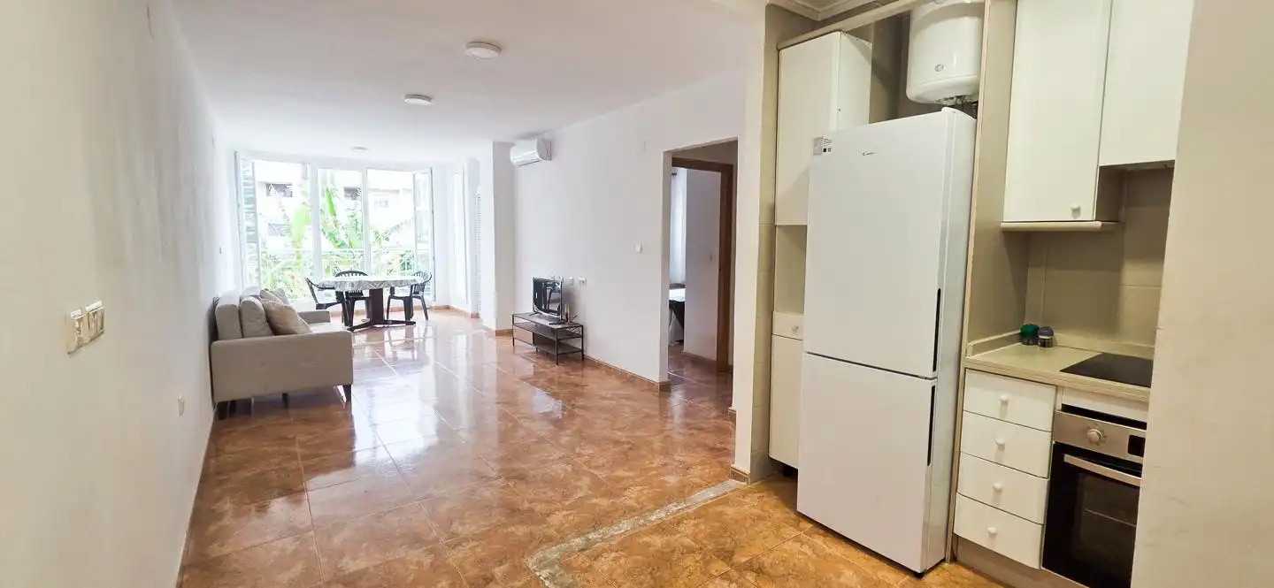 Living room of Flat for rent in Alicante / Alacant  with Furnished and Community pool