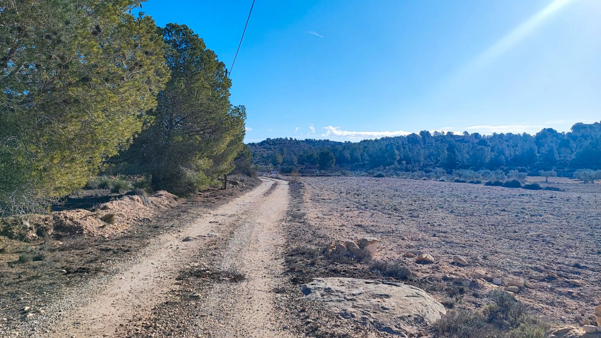 Grundstücke zum verkauf in Monóvar  / Monòver