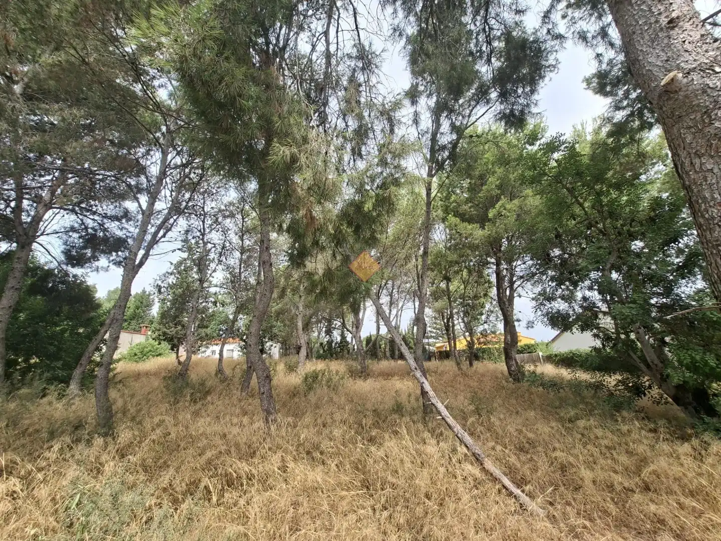Terreno residenziale in vendita a La Conarda - Montesano, imagen 4