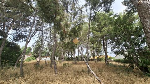Foto 4 de Residencial en venta en La Conarda - Montesano, Bétera
