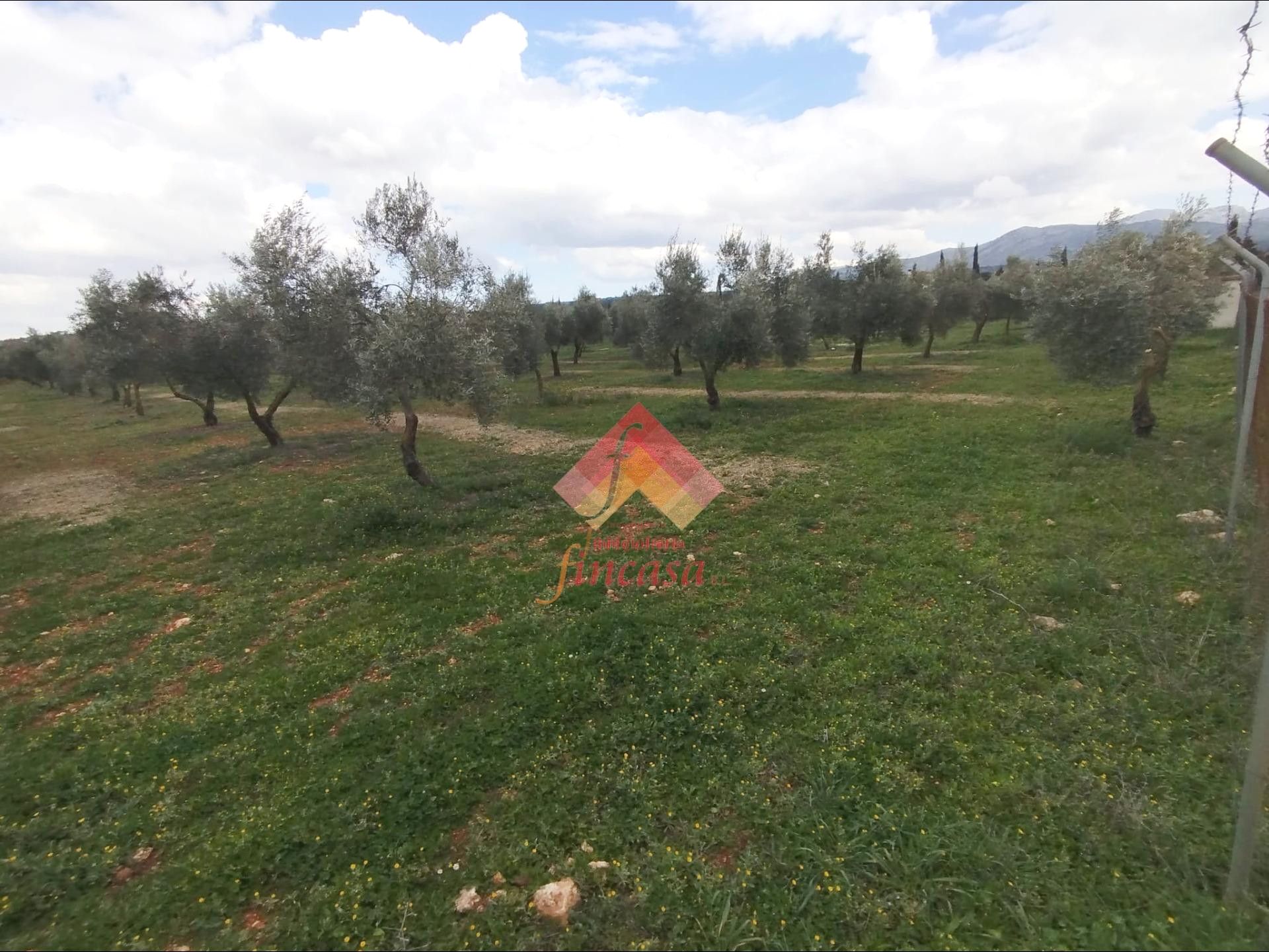 Finca rústica en venda en Ronda