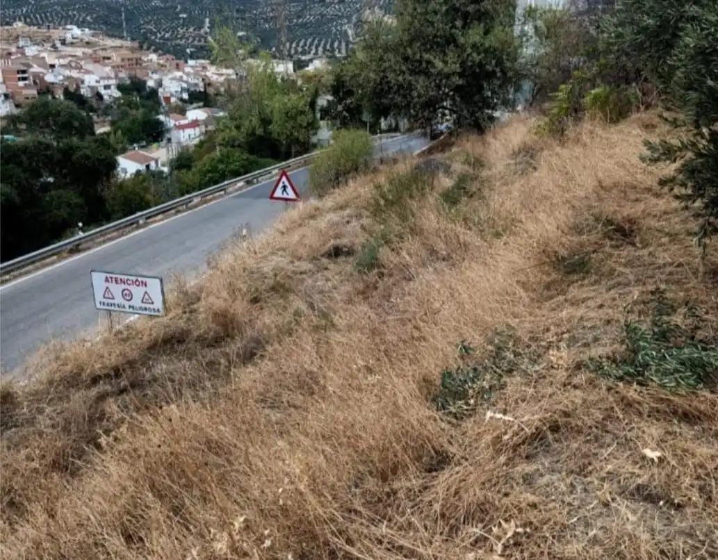 Terreni e lotti in vendita a Los Villares, imagen 5