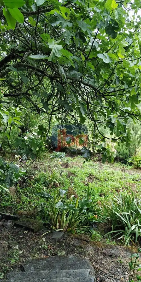 Casa o chalet en venta en Castrelo de Miño con Calefacción y Amueblado
