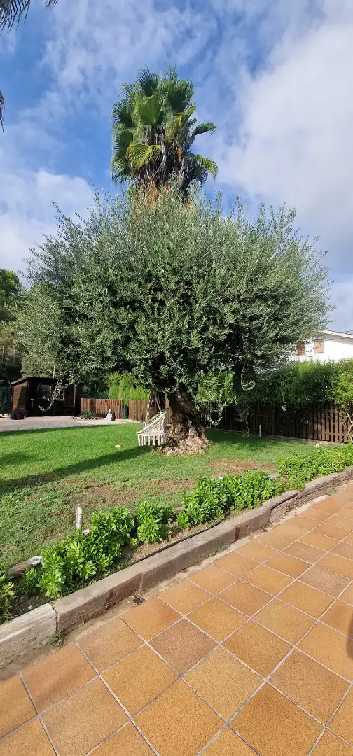 Casa amb piscina en venda a Lliçà d'Amunt, imagen 10