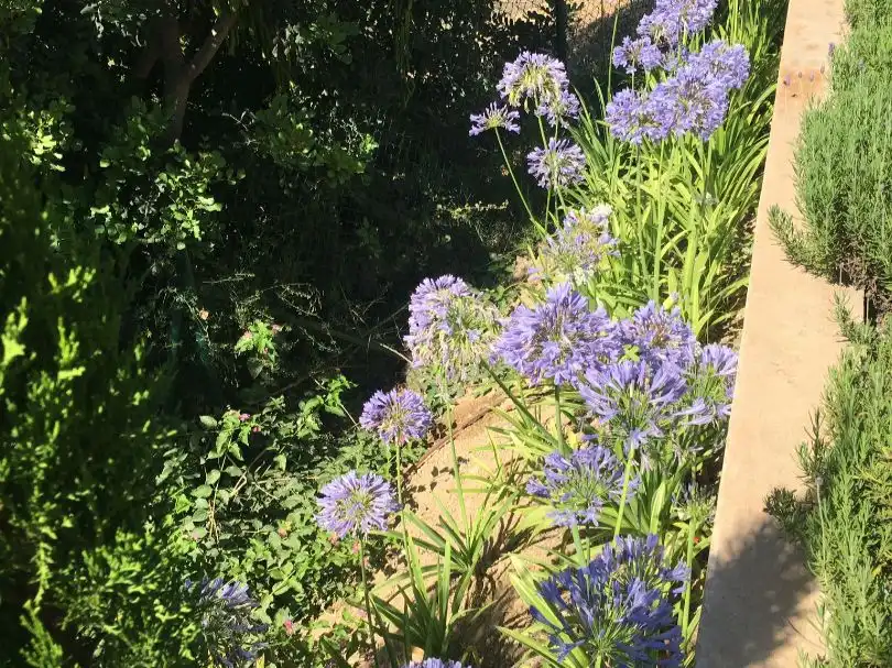 Garden of Houses for rent in Calvià  with Air Conditioner, Terrace and Balcony