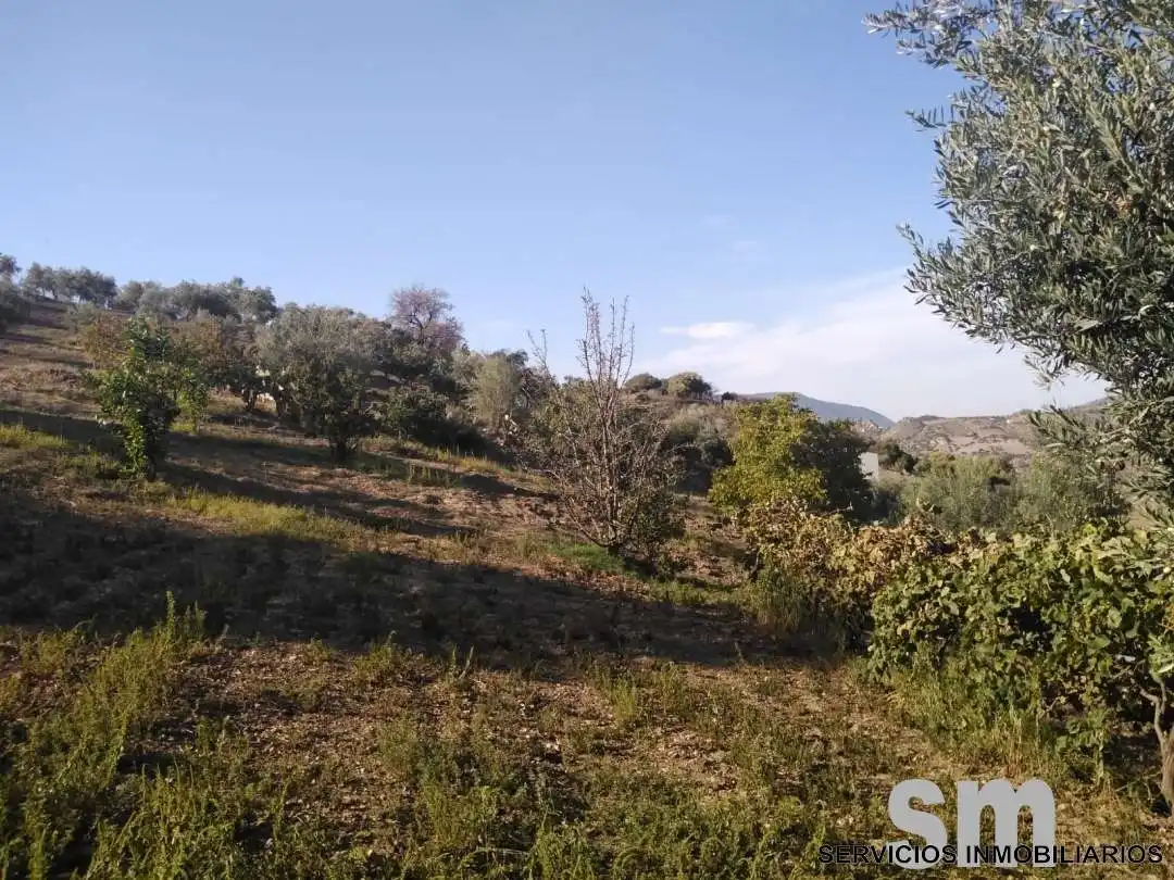 Terreno en venta en Zahara