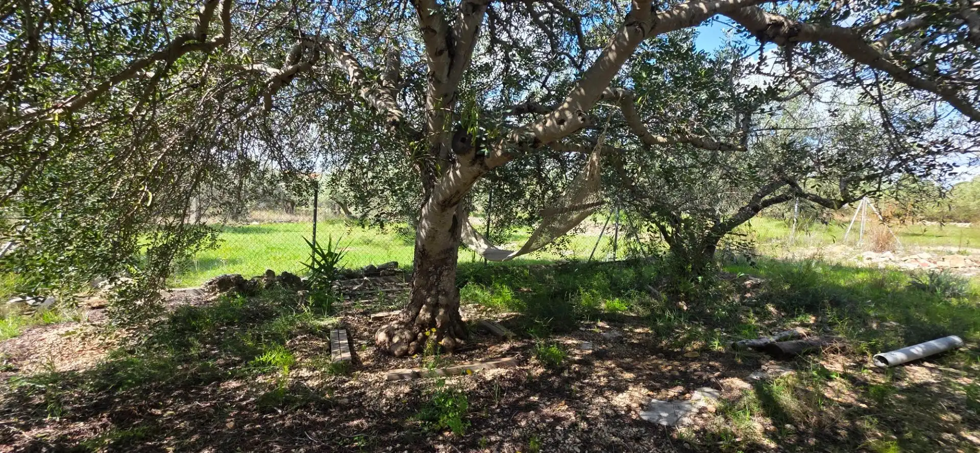 Maison rustique à vendre à L'Ametlla de Mar pueblo, imagen 17