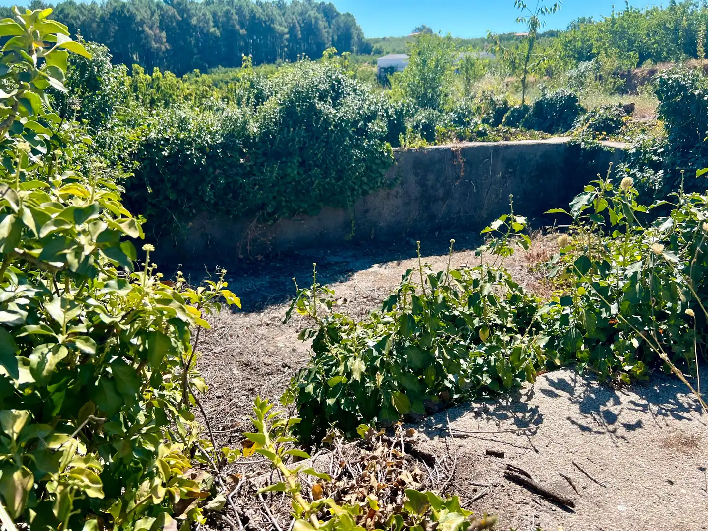Terreni e lotti in vendita a Jaraíz de la Vera, imagen 9