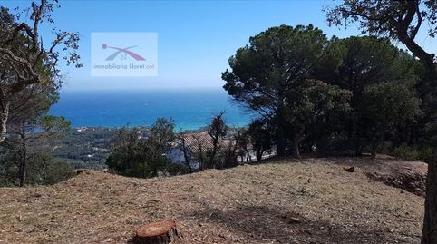 Foto 3 de Casa o chalet en venta en Roca Grossa, Lloret de Mar